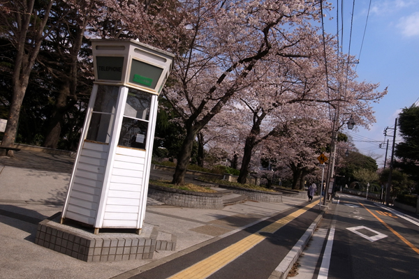 120406 7 RIMG2575.jpg